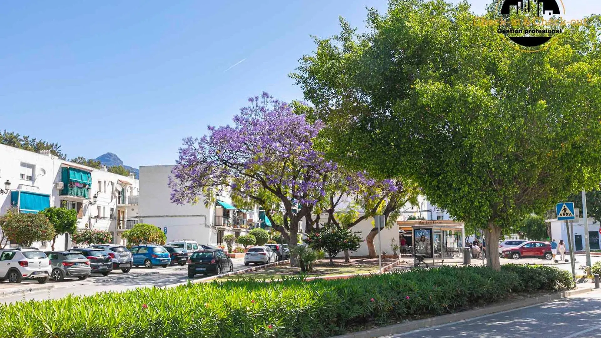 Apartamento La Campana Apartment Marbella